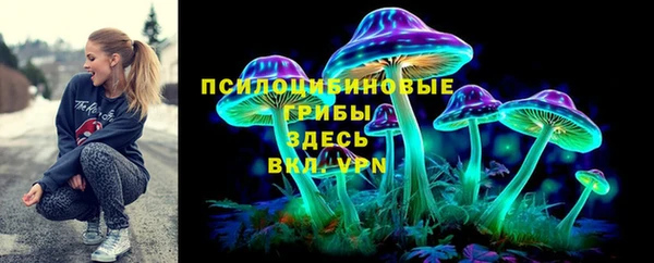 ГАЛЛЮЦИНОГЕННЫЕ ГРИБЫ Балабаново