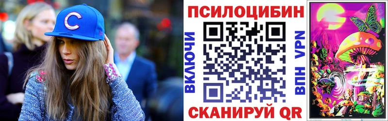 Купить  Нариманов  Галлюциногенные грибы GOLDEN TEACHER 